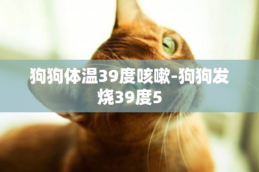 狗狗体温39度咳嗽-狗狗发烧39度5