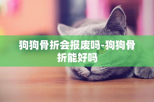 狗狗骨折会报废吗-狗狗骨折能好吗