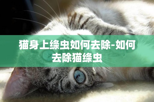 猫身上绦虫如何去除-如何去除猫绦虫