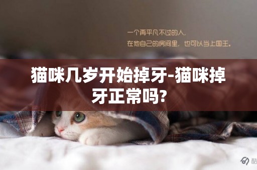 猫咪几岁开始掉牙-猫咪掉牙正常吗?