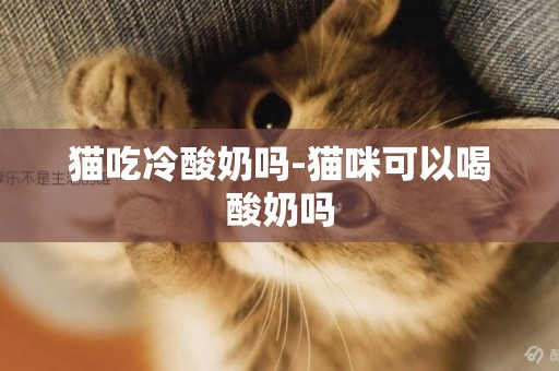 猫吃冷酸奶吗-猫咪可以喝酸奶吗