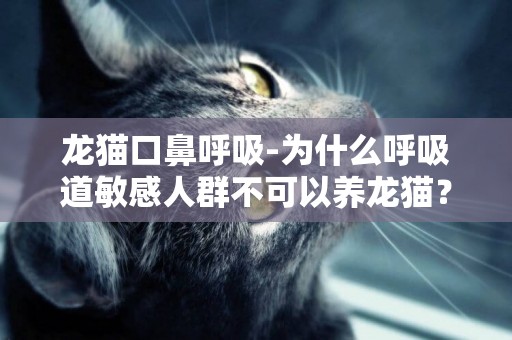 龙猫口鼻呼吸-为什么呼吸道敏感人群不可以养龙猫？