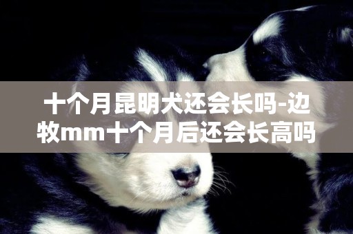 十个月昆明犬还会长吗-边牧mm十个月后还会长高吗