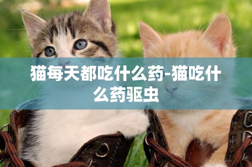 猫每天都吃什么药-猫吃什么药驱虫