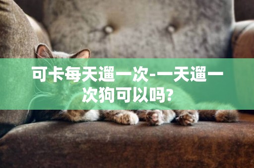 可卡每天遛一次-一天遛一次狗可以吗?