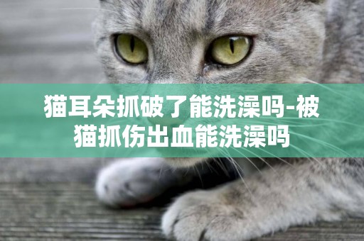 猫耳朵抓破了能洗澡吗-被猫抓伤出血能洗澡吗