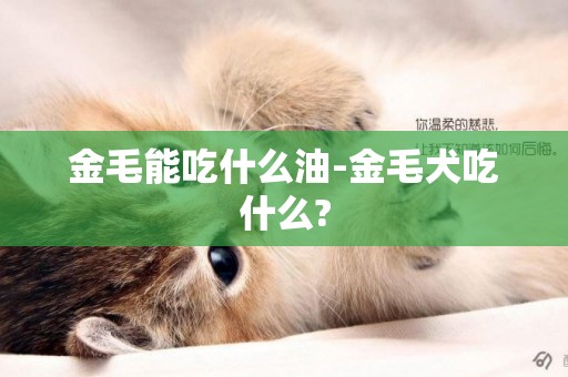 金毛能吃什么油-金毛犬吃什么?