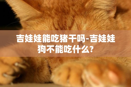 吉娃娃能吃猪干吗-吉娃娃狗不能吃什么?