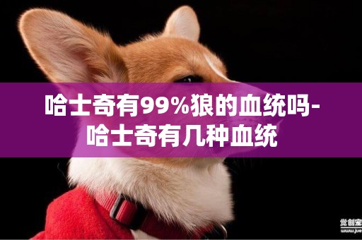 哈士奇有99%狼的血统吗-哈士奇有几种血统