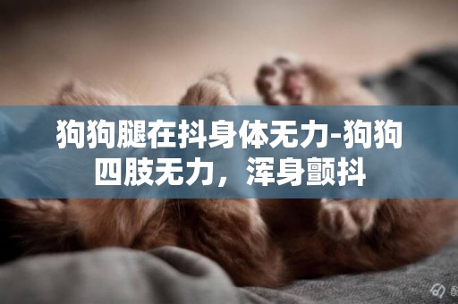 狗狗腿在抖身体无力-狗狗四肢无力，浑身颤抖