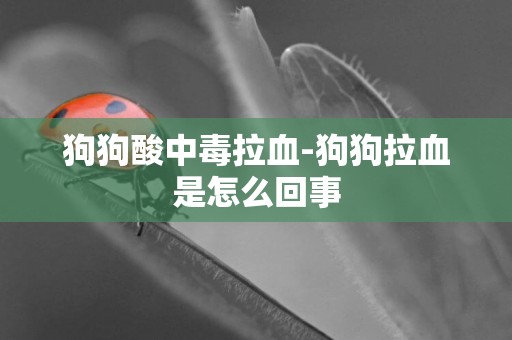 狗狗酸中毒拉血-狗狗拉血是怎么回事