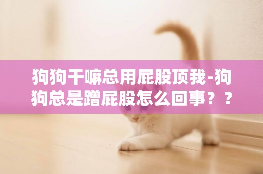 狗狗干嘛总用屁股顶我-狗狗总是蹭屁股怎么回事？？