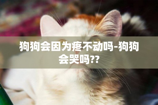 狗狗会因为疼不动吗-狗狗会哭吗??