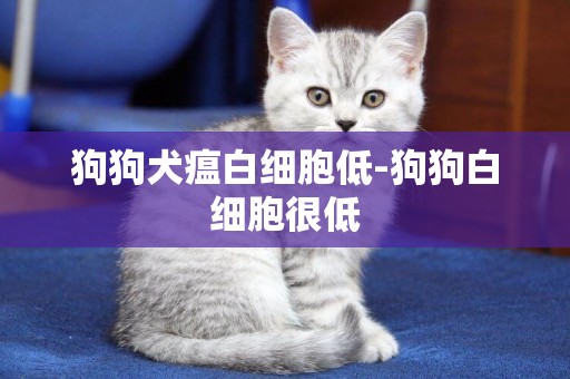 狗狗犬瘟白细胞低-狗狗白细胞很低