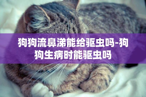 狗狗流鼻涕能给驱虫吗-狗狗生病时能驱虫吗