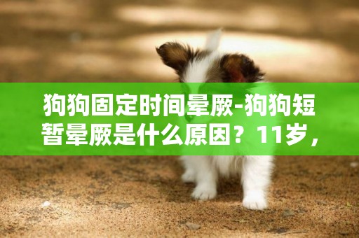 狗狗固定时间晕厥-狗狗短暂晕厥是什么原因？11岁，肥胖。晕厥时候眼睛是睁开的，十几秒后才能慢慢起来，