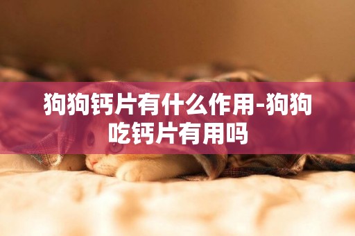 狗狗钙片有什么作用-狗狗吃钙片有用吗