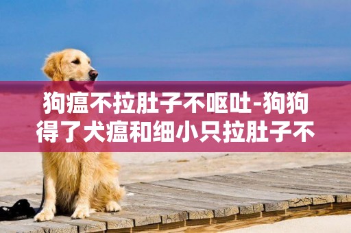 狗瘟不拉肚子不呕吐-狗狗得了犬瘟和细小只拉肚子不呕吐