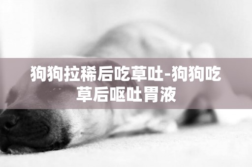 狗狗拉稀后吃草吐-狗狗吃草后呕吐胃液