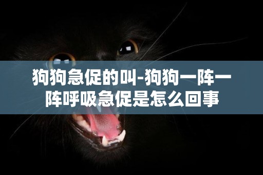 狗狗急促的叫-狗狗一阵一阵呼吸急促是怎么回事