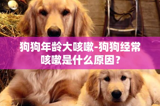 狗狗年龄大咳嗽-狗狗经常咳嗽是什么原因？