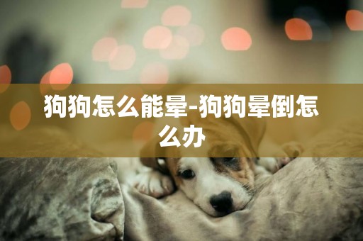 狗狗怎么能晕-狗狗晕倒怎么办