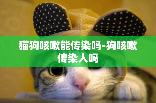 猫狗咳嗽能传染吗-狗咳嗽传染人吗