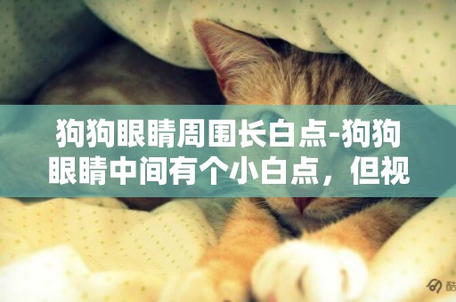 狗狗眼睛周围长白点-狗狗眼睛中间有个小白点，但视力没问题，请问是什么问题？