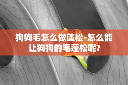 狗狗毛怎么做蓬松-怎么能让狗狗的毛蓬松呢?