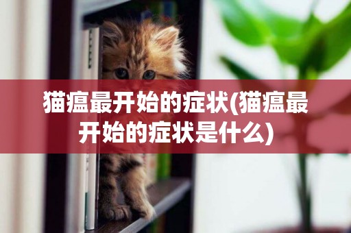 猫瘟最开始的症状(猫瘟最开始的症状是什么)