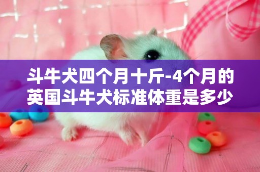 斗牛犬四个月十斤-4个月的英国斗牛犬标准体重是多少?