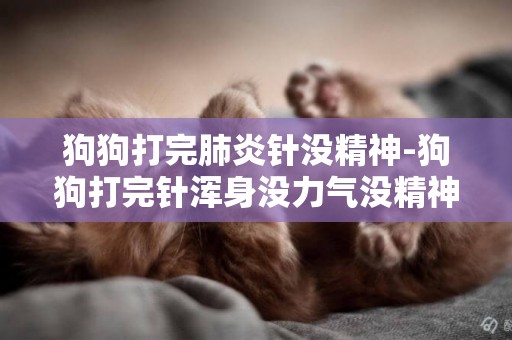 狗狗打完肺炎针没精神-狗狗打完针浑身没力气没精神？