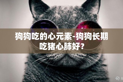 狗狗吃的心元素-狗狗长期吃猪心肺好？