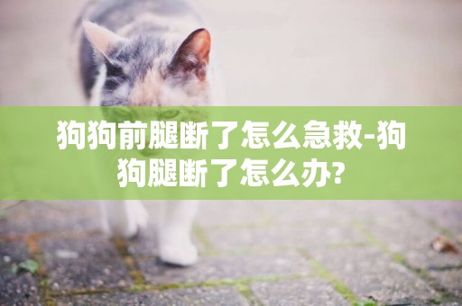 狗狗前腿断了怎么急救-狗狗腿断了怎么办?