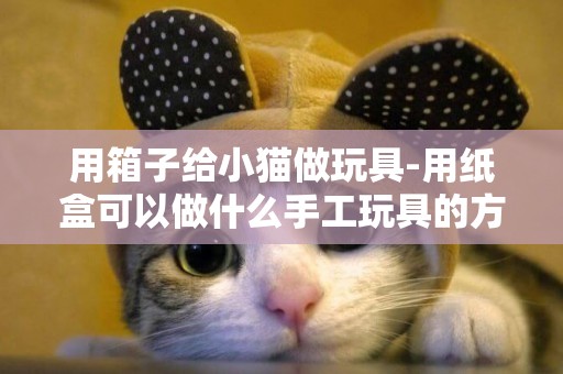 用箱子给小猫做玩具-用纸盒可以做什么手工玩具的方法