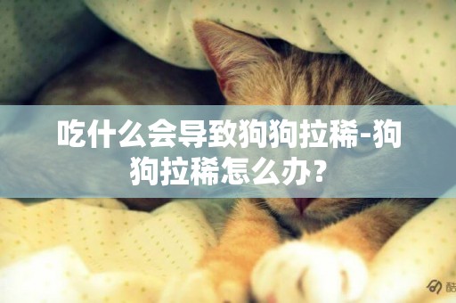 吃什么会导致狗狗拉稀-狗狗拉稀怎么办？