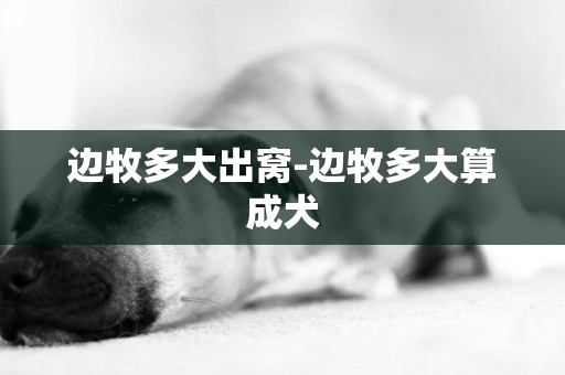 边牧多大出窝-边牧多大算成犬