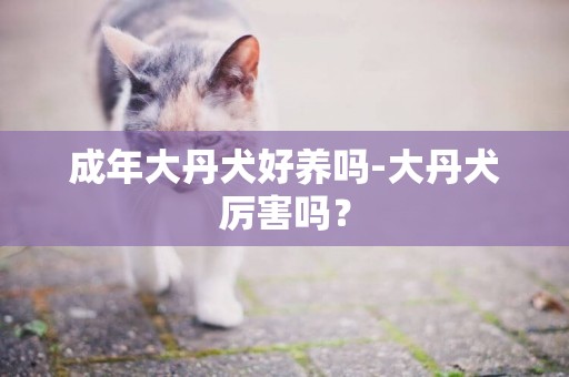 成年大丹犬好养吗-大丹犬厉害吗？