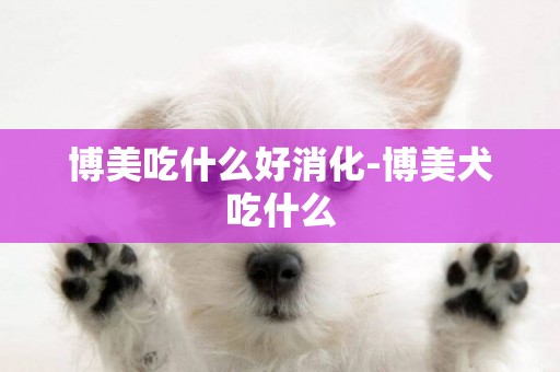 博美吃什么好消化-博美犬吃什么