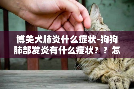 博美犬肺炎什么症状-狗狗肺部发炎有什么症状？？怎么治疗？