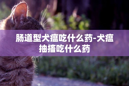 肠道型犬瘟吃什么药-犬瘟抽搐吃什么药