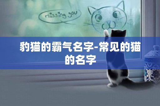 豹猫的霸气名字-常见的猫的名字