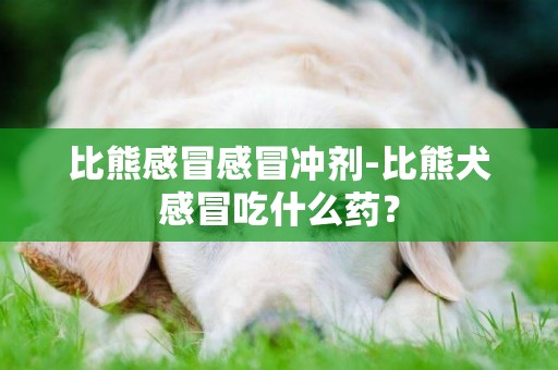 比熊感冒感冒冲剂-比熊犬感冒吃什么药？