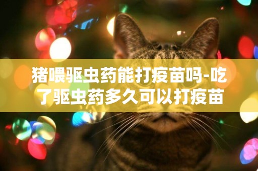 猪喂驱虫药能打疫苗吗-吃了驱虫药多久可以打疫苗