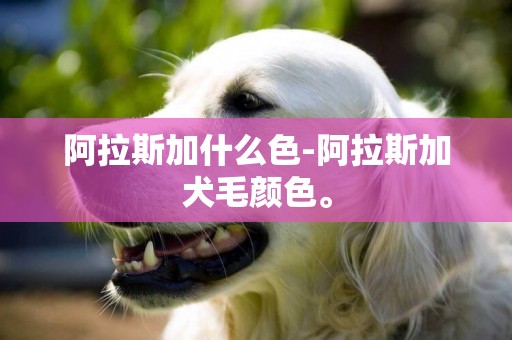 阿拉斯加什么色-阿拉斯加犬毛颜色。