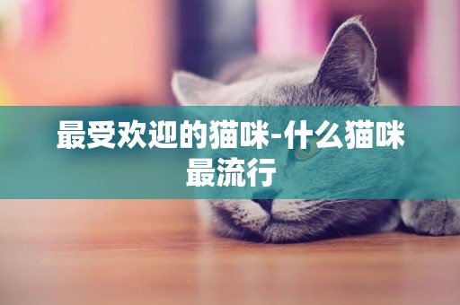 最受欢迎的猫咪-什么猫咪最流行