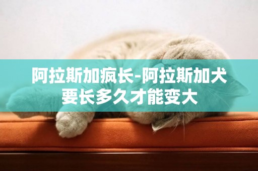 阿拉斯加疯长-阿拉斯加犬要长多久才能变大