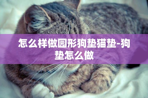 怎么样做园形狗垫猫垫-狗垫怎么做