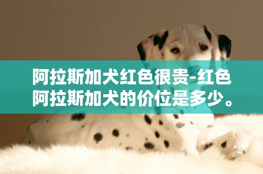 阿拉斯加犬红色很贵-红色阿拉斯加犬的价位是多少。