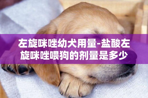 左旋咪唑幼犬用量-盐酸左旋咪唑喂狗的剂量是多少